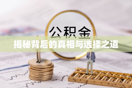 元宝揭秘背后的真相与选择之道