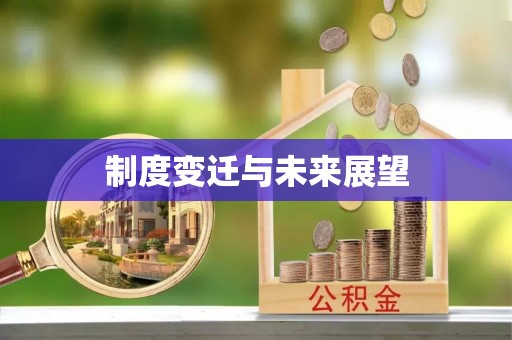 元宝制度变迁与未来展望