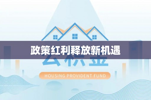 元宝政策红利释放新机遇
