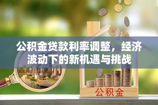 元宝公积金贷款利率调整，经济波动下的新机遇与挑战