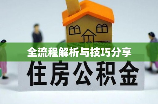 元宝全流程解析与技巧分享