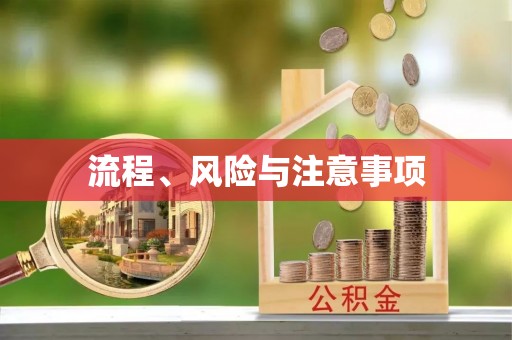 元宝流程、风险与注意事项