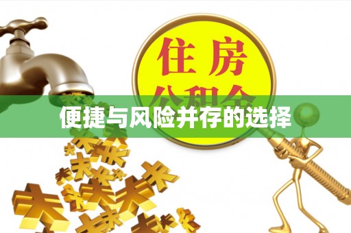 元宝便捷与风险并存的选择
