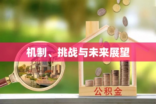 元宝机制、挑战与未来展望